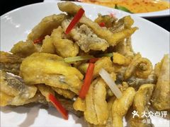 -丰收日(五角场店)