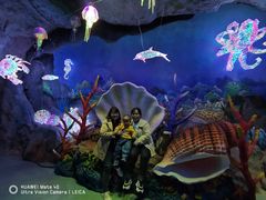 -福州罗源湾海洋世界旅游区