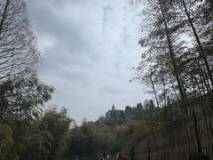 -莫干山风景区