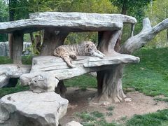 -北京野生动物园