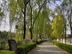 -西安汉城湖景区