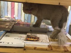 -小时光咖啡馆(开森度假森林店)