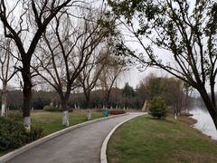 -祥源·阜阳生态乐园