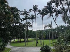 -深圳仙湖植物园