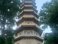 -灵谷景区