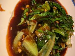 蚝油生菜-杭越海鲜(迪荡店)