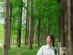 -黄海国家森林公园