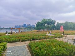 -顺峰山公园