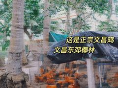 -东郊椰林