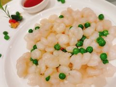 -星晨酒店(五角场店)