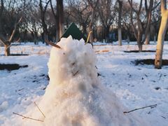 -大兴滨河森林公园