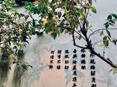 -三坊七巷历史文化街区