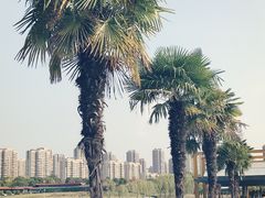-白塘生态植物园