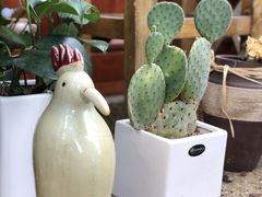 -肥朵食堂(带梦胡同店)