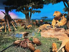 -国家自然博物馆