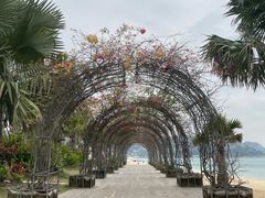 -大梅沙海滨公园