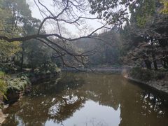 -叶家花园