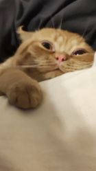 -V8潮牌·接发烫染连锁