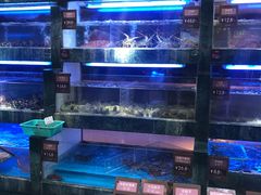 水产区-徐记海鲜(阿波罗店)