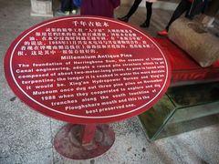 -桂林灵渠景区