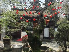 -木子山庄·安徽省老字号·中国炖锅宴