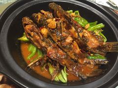 砂锅黄骨鱼-丽华园(青少年宫店)