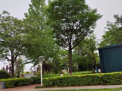 -灞河西岸滨河公园