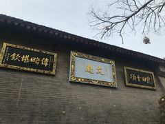 -康百万庄园
