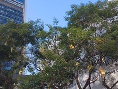 -誉八仙粤菜(万象天地店)