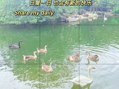 -广州动物园