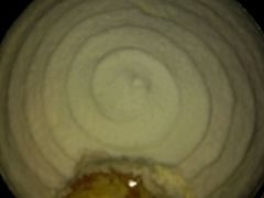 -苹果花园(昌里东路店)