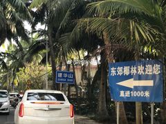 -东郊椰林