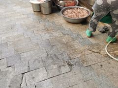 -蒋六十八梯眼镜面(渝中店)
