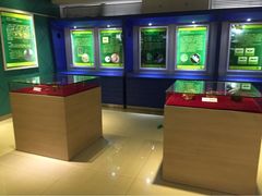 iphone_upload_pic-上海昆虫博物馆