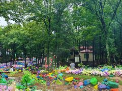 -洛阳白云山景区