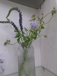 -魔丽卡·中国式美甲美睫