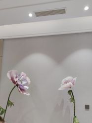 -云南吴氏嘉美医疗美容医院