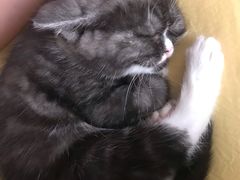 -素满香·素食自助餐(西安·民乐园店)