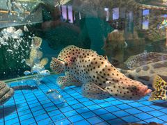 -聚福宝合苑食府(南头镇店)