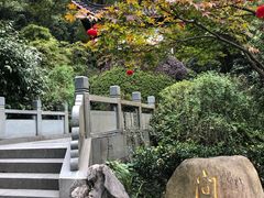 -十八棵（老龙井）御茶园(老龙井店)
