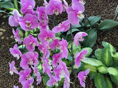 -惠丰源烩面馆(经七路店)