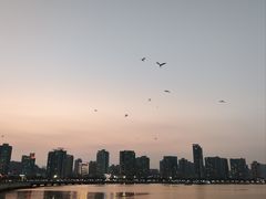 -野狸岛
