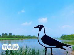 -野鸭湖国家湿地公园