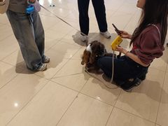 -CityOn熙地港西安购物中心