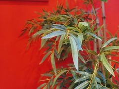 -饕然·民间川菜(龙泉店)