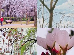 -新虹桥中心花园