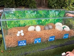 -广州长隆飞鸟乐园
