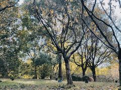 -苏州河梦清园环保主题公园