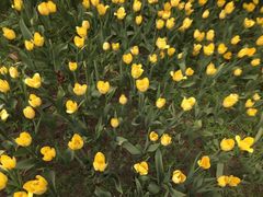 -长春公园(普阳街道)