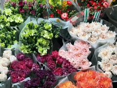 -双季花艺园艺市场(浦东店)